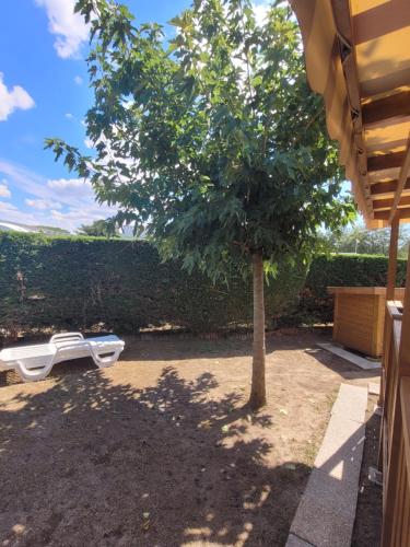 un arbre assis dans une cour à côté d'un bâtiment dans l'établissement Mobil Home tout confort 6 a 8 personnes Aux Charmettes, aux Mathes