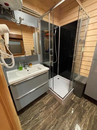 a bathroom with a shower and a sink at Eko dom bliźniak z Bala Brajniki in Brajniki