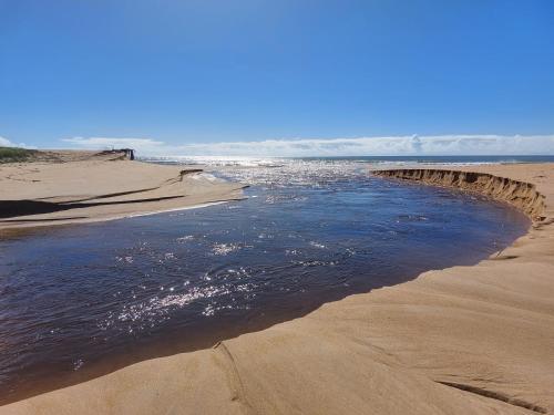 Naturlandschaft in der Nähe des Ferienhauses