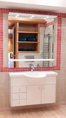 une salle de bain avec un lavabo blanc et un miroir dans l'établissement Premium Spa Chalet - Sauna & Jacuzzi - 20min Paris, à Gif-sur-Yvette