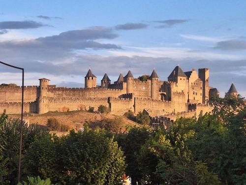 a large castle sitting on top of a hill at Appartement central avec parking in Carcassone