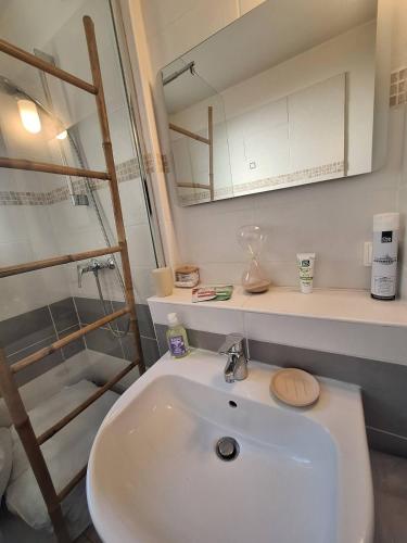 une salle de bain avec un lavabo blanc et un miroir dans l'établissement Appartement central avec parking, à Carcassone
