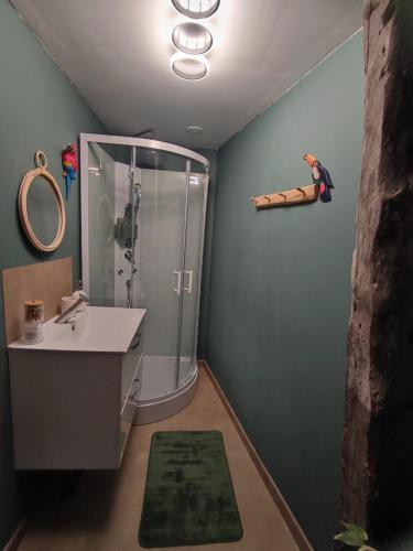 une salle de bain avec une douche, un lavabo et un miroir dans l'établissement Studio indépendant neuf, à Saint-André-de-lʼEure