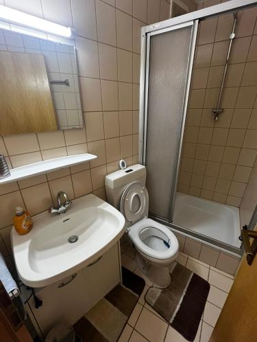 a bathroom with a sink and a toilet and a shower at Family Apartment Šumava in Bayerisch Eisenstein
