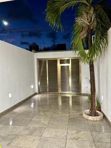 a palm tree in front of a garage at night at Casa Rivera Cancún in Cancún