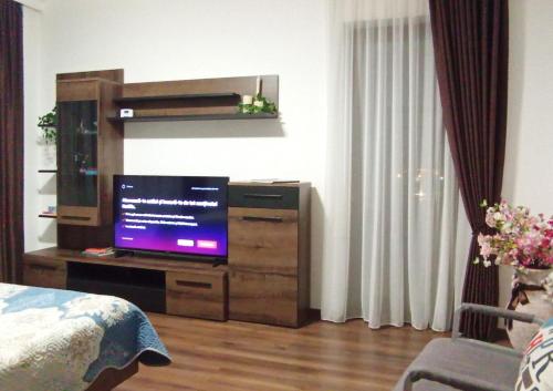 Μια τηλεόραση ή/και κέντρο ψυχαγωγίας στο Aparthotel Laura