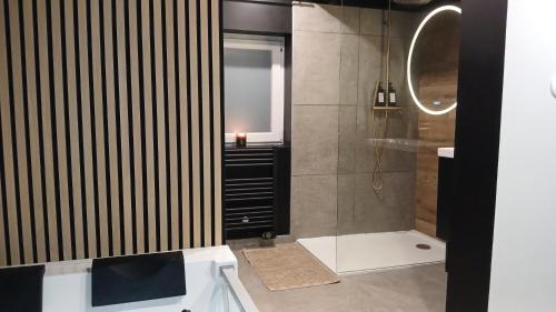 een badkamer met een douche en een wastafel bij Love room Saphir in Niederbetschdorf