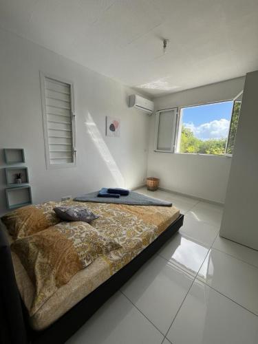 Un dormitorio con una cama grande con ventana. en Locations Villa Saint-Francois, en Saint-François