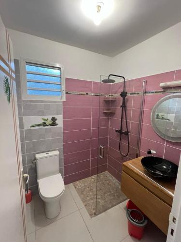 a bathroom with a toilet and a sink and a shower at Location Villa Saint-François in Saint-François