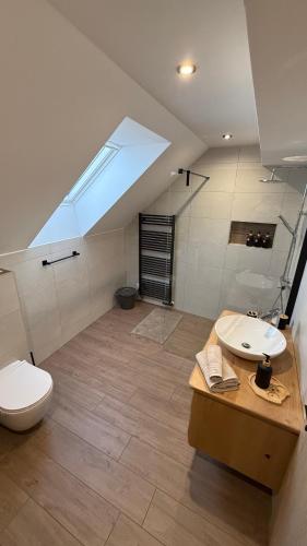 a bathroom with a toilet and a sink and a skylight at Apartments Šlosarjeva Hiša Nature & Tradition in Preddvor