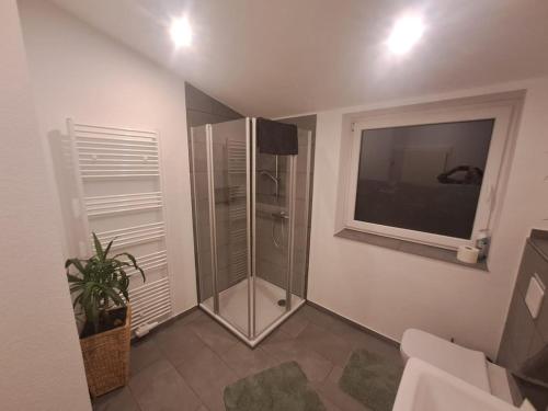 a bathroom with a walkin shower and a window at Servus & Moin - Bei uns Daheim! in Meißendorf