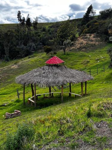 a hut with a grass roof on a field at SAN ALEJO- CABAÑAS Y CAMPING in Tota