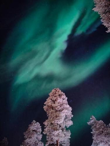 an image of the northern lights in the sky with trees at Isokelo Log Apartments in Salla