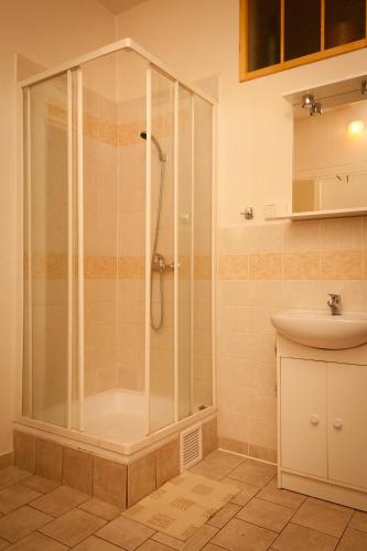 a bathroom with a shower and a sink at Ubytování U Kroupů in Deštné v Orlických horách