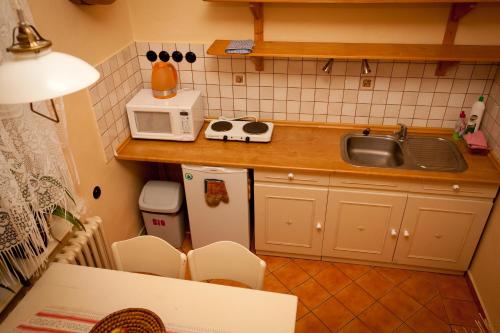 una pequeña cocina con fregadero y microondas en Ubytování U Kroupů en Deštné v Orlických horách