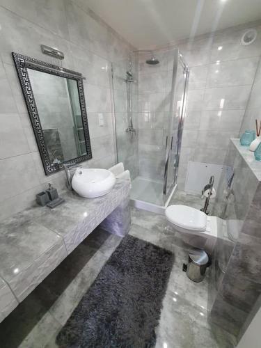 a bathroom with a sink and a toilet and a shower at Ostoja Bachus in Sawin