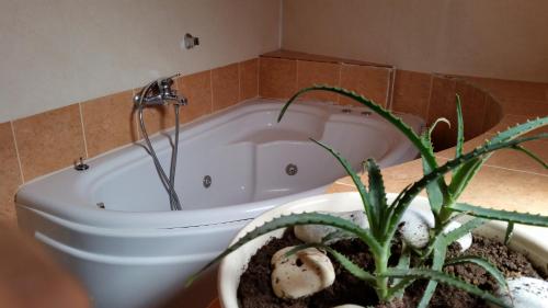een badkamer met een bad en een potplant bij Filippou Villa - Living in Nature in Fílippos