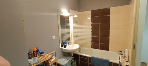 une salle de bain avec un lavabo et un miroir dans l'établissement L'APPARTEMENT DE NOAH appartement Rez de chaussée classé 2 étoiles avec terrasse, à Ax-les-Thermes