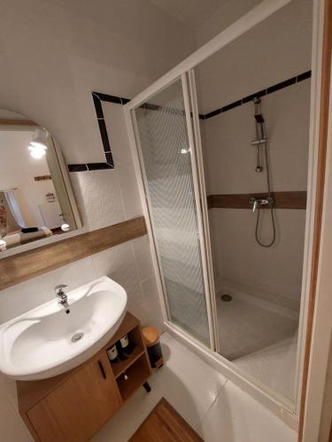 une salle de bain avec un lavabo et une douche dans l'établissement Moulin de Monpoisson, à Le Puy