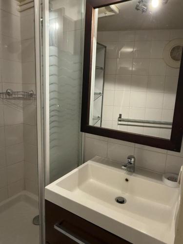 une salle de bain avec un lavabo, un miroir et une douche dans l'établissement Royal Pereire - Paris 17ème, à Paris