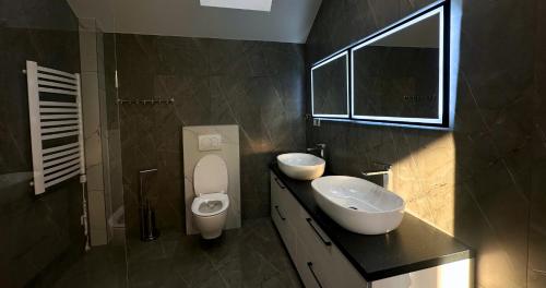 a bathroom with a sink and a toilet and a mirror at Apartamenty pod Dębami - noclegi Beskid Niski in Odrzechowa