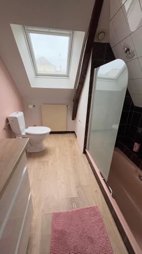 une salle de bain avec douche et toilettes et une fenêtre dans l'établissement La Paisible - Maison 6 pers piscine - Le Mans centre, au Mans