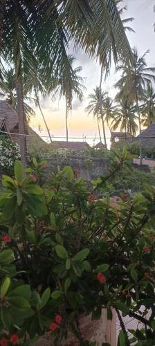 a view of a beach with palm trees and flowers at Amka Guest house in Jambiani