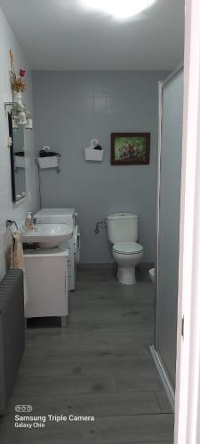 a white bathroom with a toilet and a sink at Apartamento Turístico Cervantes 18 in Losar de la Vera