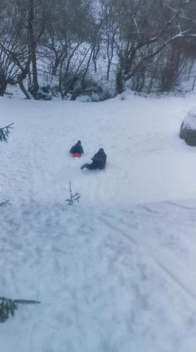 two animals are laying in the snow at Casuta dintre brazi in Râșca