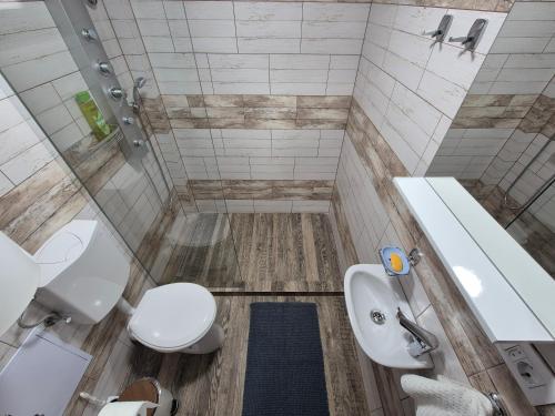 a bathroom with a toilet and a sink at Casa Izvorul Rarăului in Câmpulung Moldovenesc