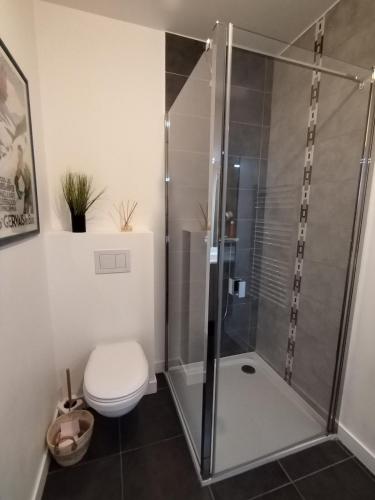 une salle de bain avec douche et toilettes dans l'établissement Résidence prémium MontBlanc, à Sallanches