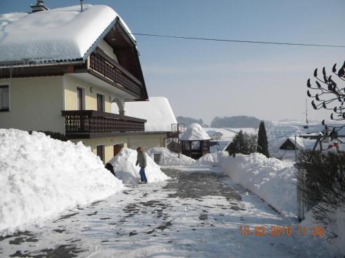 Το Spacious Countryside Flat - 25 minutes from Ljubljana τον χειμώνα