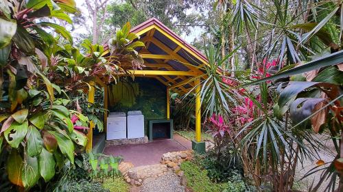 a garden entrance to a tropical garden with plants at Cabinas Costa Tropicana in Uvita