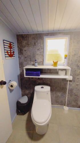 Un baño con inodoro blanco y ventana. en Departamento Refugio Compinches, Castro Chiloé, en Tentén