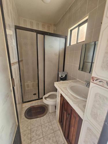 a bathroom with a shower and a toilet and a sink at hotel brisas del pacifico in Puerto Vallarta