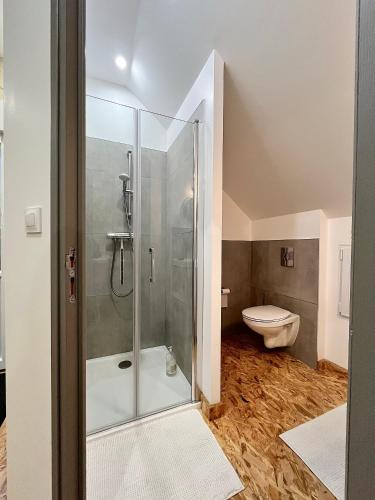 une salle de bain avec douche et toilettes dans l'établissement Le cerisier, à Beaumont-en-Véron