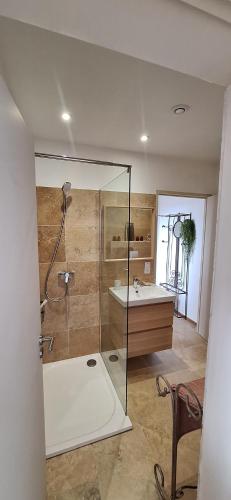 une salle de bain avec douche et lavabo dans l'établissement Situation exceptionnelle, villa Labori, luxueuse, à Suzette