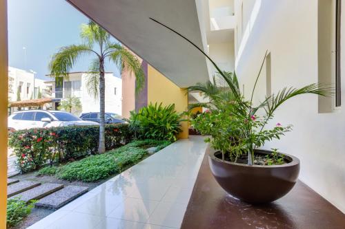 Κήπος έξω από το El Tigre, Ibiza Condos with Pool and Golf Views