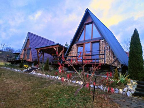 a house with a blue roof and a yard at Razele Trascaului in Rîmeţi