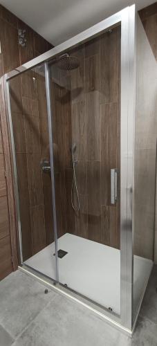 a shower with a glass door in a bathroom at Casa da Braña in Teo