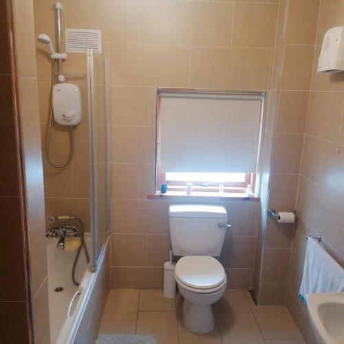 a bathroom with a toilet and a window and a sink at Cheerful 3 bedroom cottage with open fire in Bellanasally