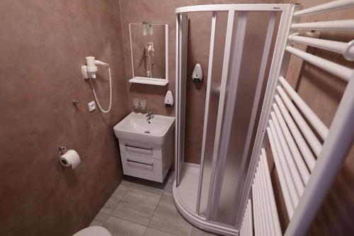 Kylpyhuone majoituspaikassa Pension Viola