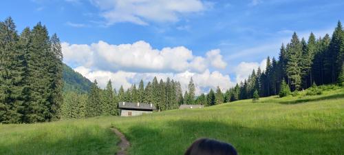 a person standing on a grassy hill with a building at Ursus Chalet in Carisolo