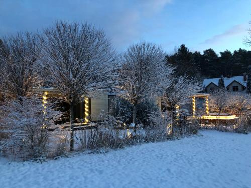 Eden House a l'hivern