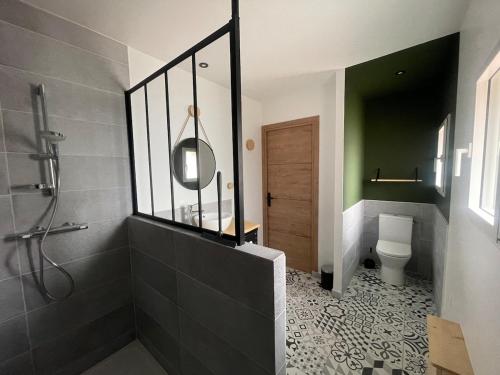 une salle de bain avec douche et toilettes dans l'établissement Gîte Ancien Atelier - chemin de halage, à Muides-sur-Loire