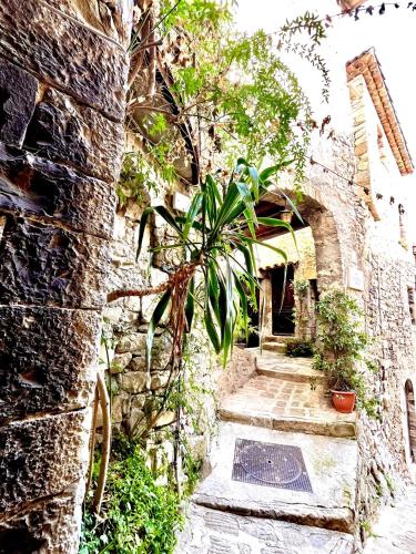 an old stone building with a plant in an alley at Gite des remparts in Lucéram