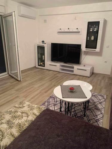 TV a/nebo společenská místnost v ubytování Biljana Apartments