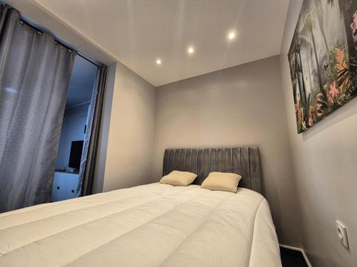 un lit dans une chambre avec une grande fenêtre dans l'établissement Résidence Le Lucasium - Très au calme pour ce joli T1Bis ! MAE-0021, à Aix-les-Bains