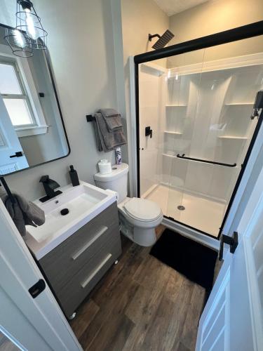 a bathroom with a shower and a toilet and a sink at MidWay Mountain Views in Asheville