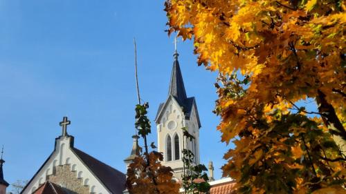 a church with a steeple and autumn leaves at City APART - FeWo Klimaanlage Whirpool Panoramafenster 5 Personen Kulturdenkmal Dessau-Roßlau in Dessau